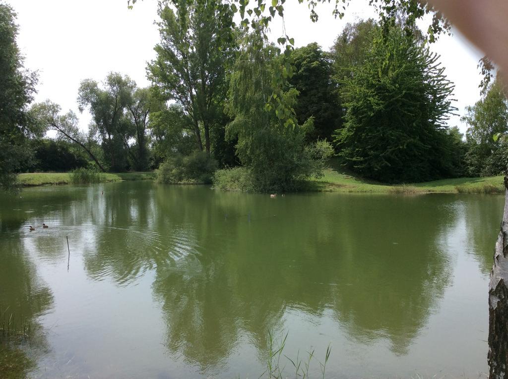 Camping Du Ried Boofzheim Exteriör bild